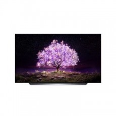 LG 120cm UHD TV OLED48C1KNB (벽걸이형)